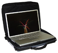 Mission Light 17" PowerBook case