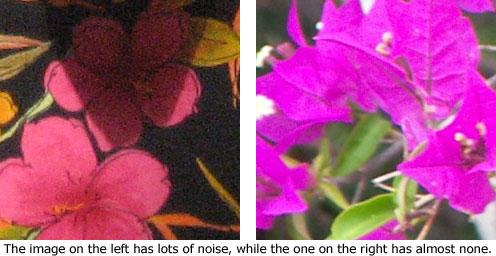 Noise in a digital photo.