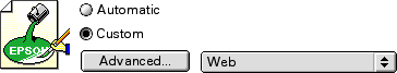 custom Web printing