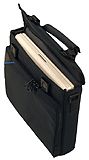 Willow Away case