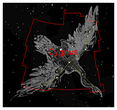 Cygnus