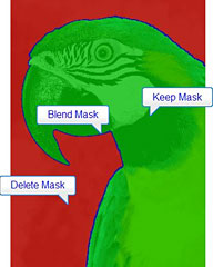 the paint mask