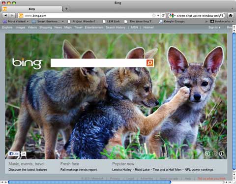 Bing home page.