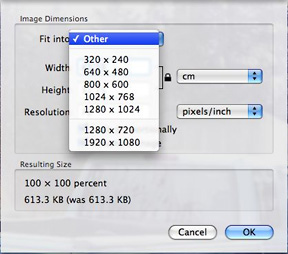 Preview lets you adjust image size