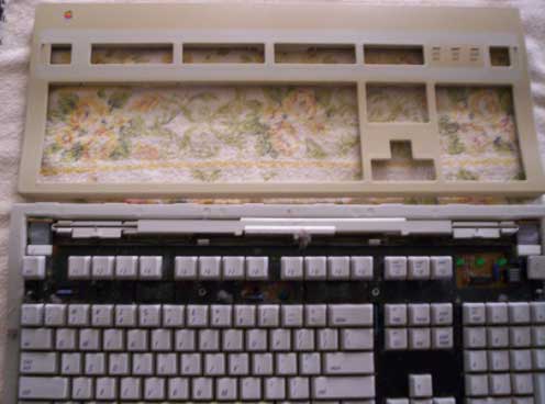 inside the Extended II