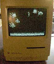 Mac Classic running Aquatic Realm
