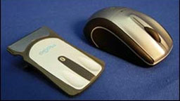two mice