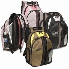 Ruckus Laptop Backpack