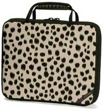 Archetype Laptop Cases