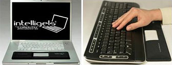 Intelligels