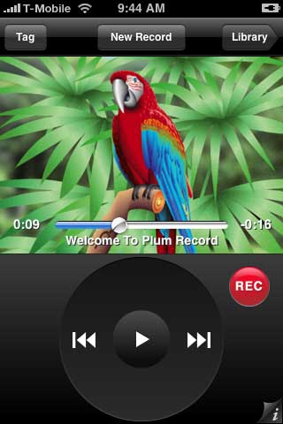 Plum Record