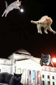 CatPaint