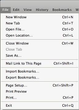 Safari for Windows