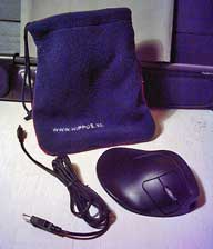 Handshoe Mouse with bag