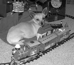 grayscale image