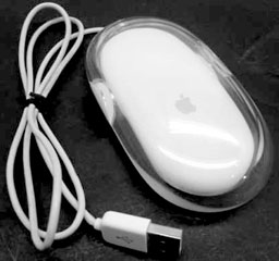 Apple's lozenge-shaped USB mouse